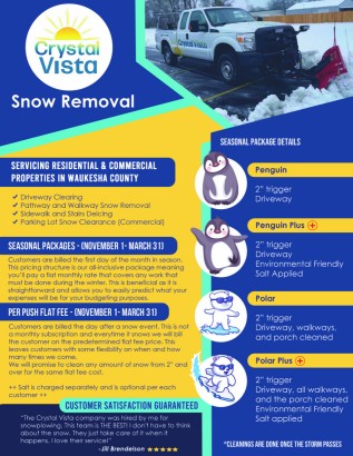 Snow Removal Flyer